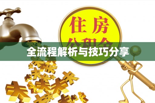 周村全流程解析与技巧分享